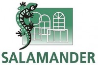 Salamander